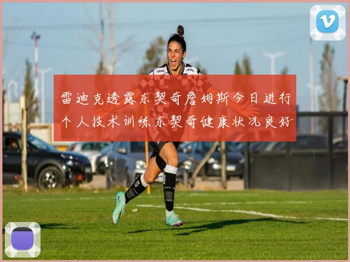 雷迪克透露东契奇詹姆斯今日进行个人技术训练东契奇健康状况良好