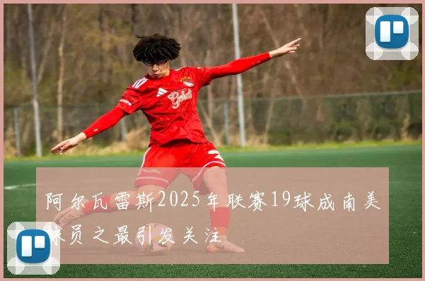 阿尔瓦雷斯2025年联赛19球成南美球员之最引发关注